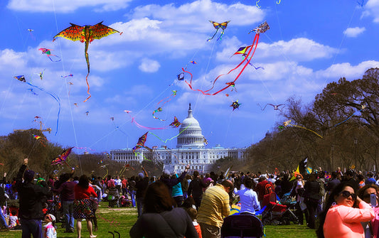 "CHERRY BLOSSOMS IN DC" RED EYE TRIP-WASHINGTON, DC-MARCH 27-29, 2026